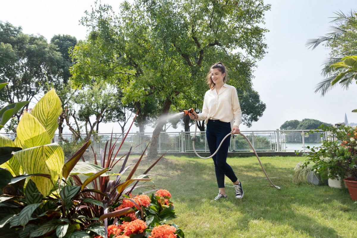 10 Golden Rules for Watering the Garden the Right Way